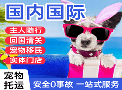 柳州白莲机场快运国际宠物托运 【国